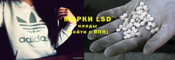 ГАЛЛЮЦИНОГЕННЫЕ ГРИБЫ Аркадак